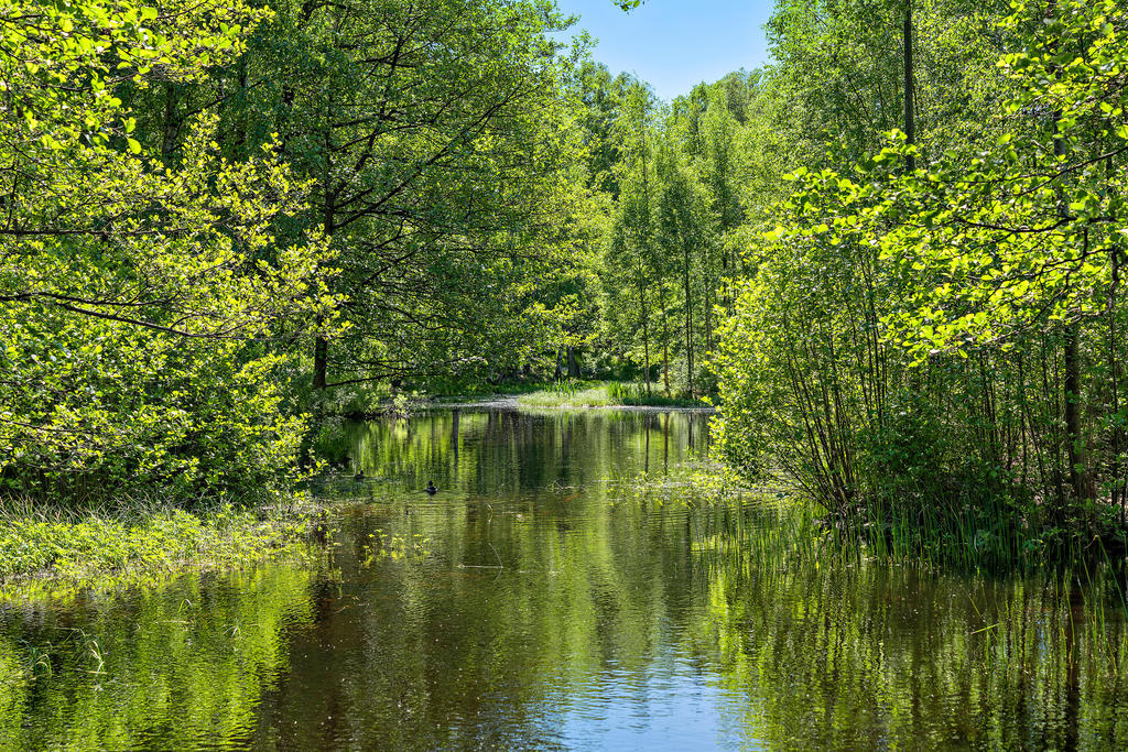 Ett område som uppskattas av såväl barnfamiljer som naturälskare tack vare de fina omgivningarna och det bekväma läget