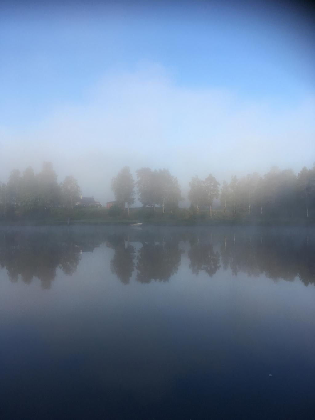 Säljarens egna bilder