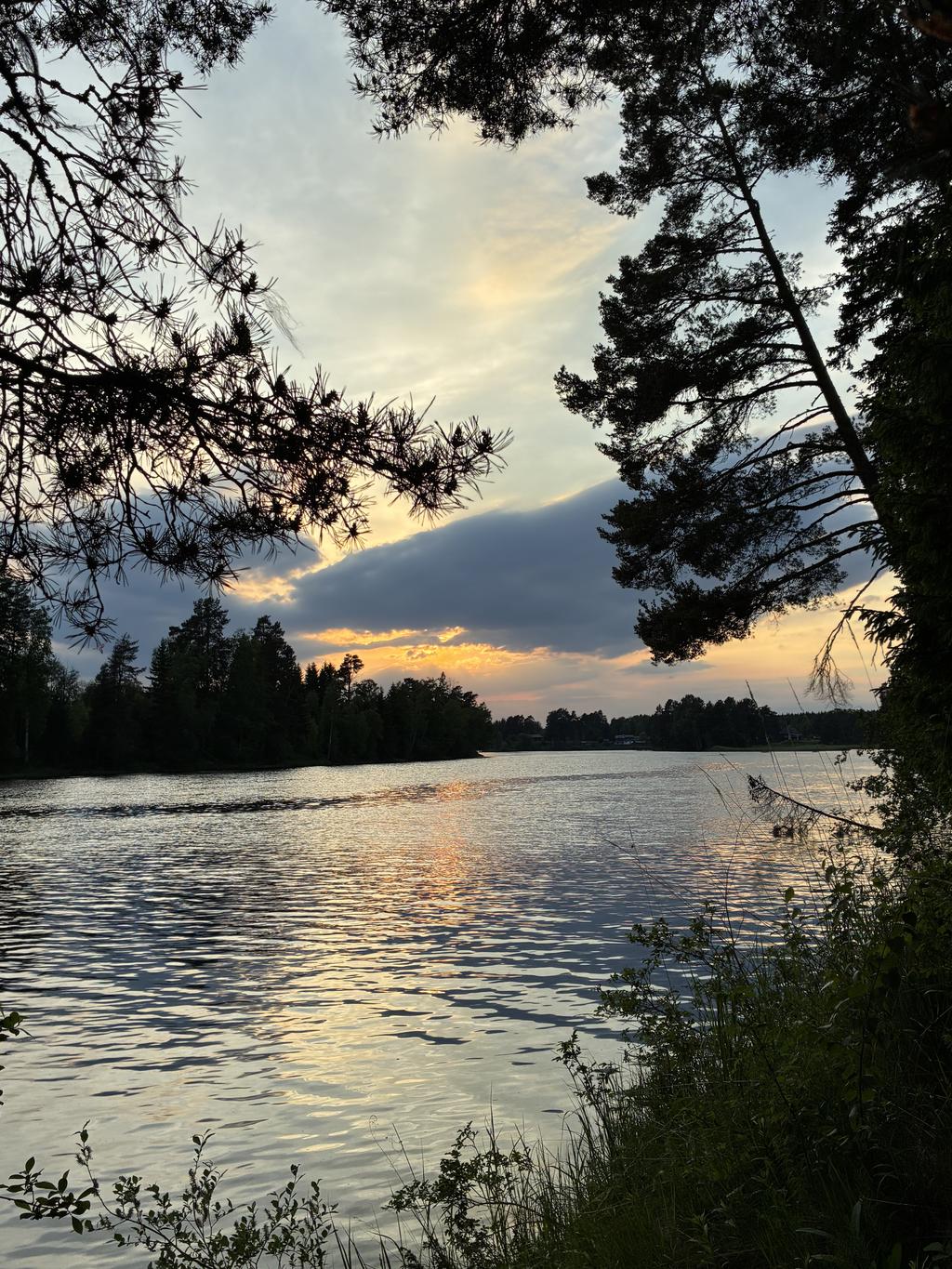 Säljarens egna bilder
