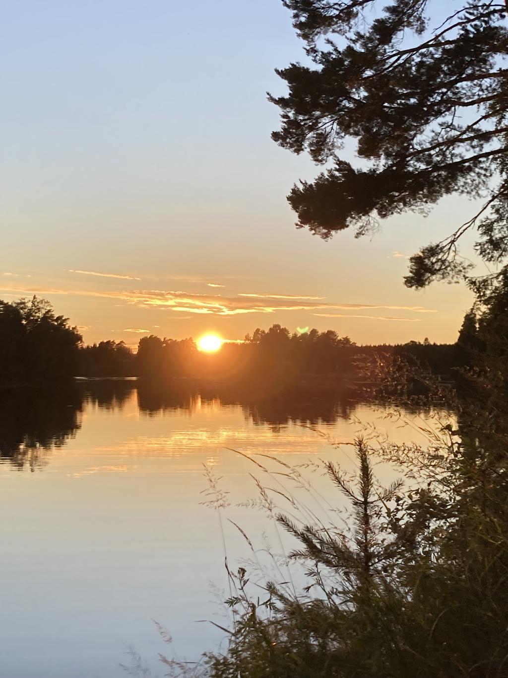 Säljarens egna bilder