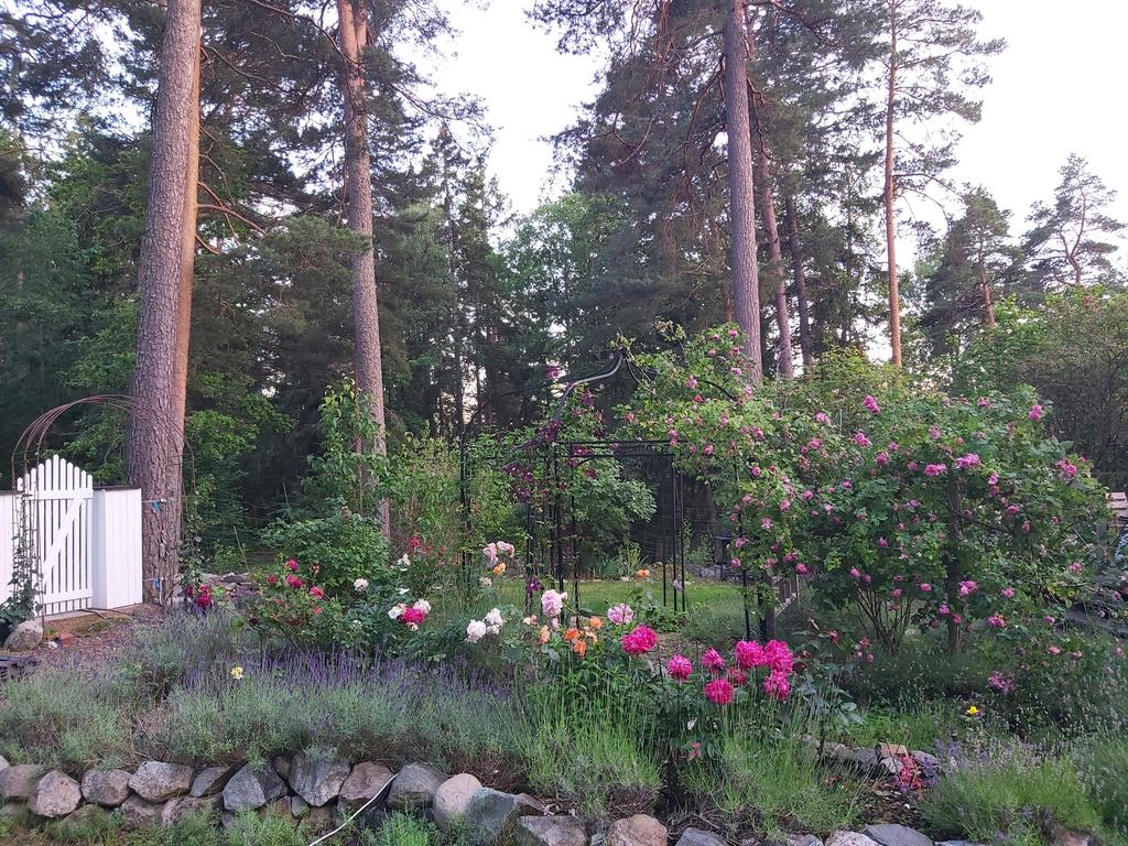 Säljarens sommarbild