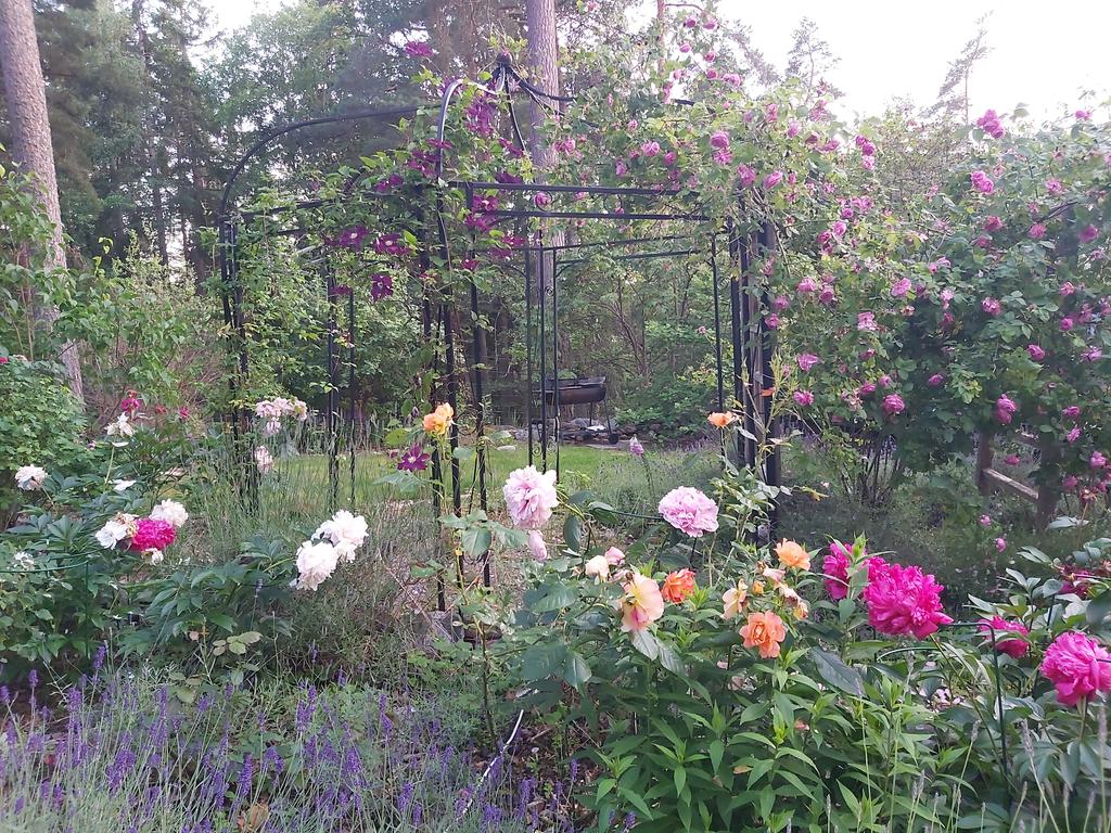 Säljarens sommarbild