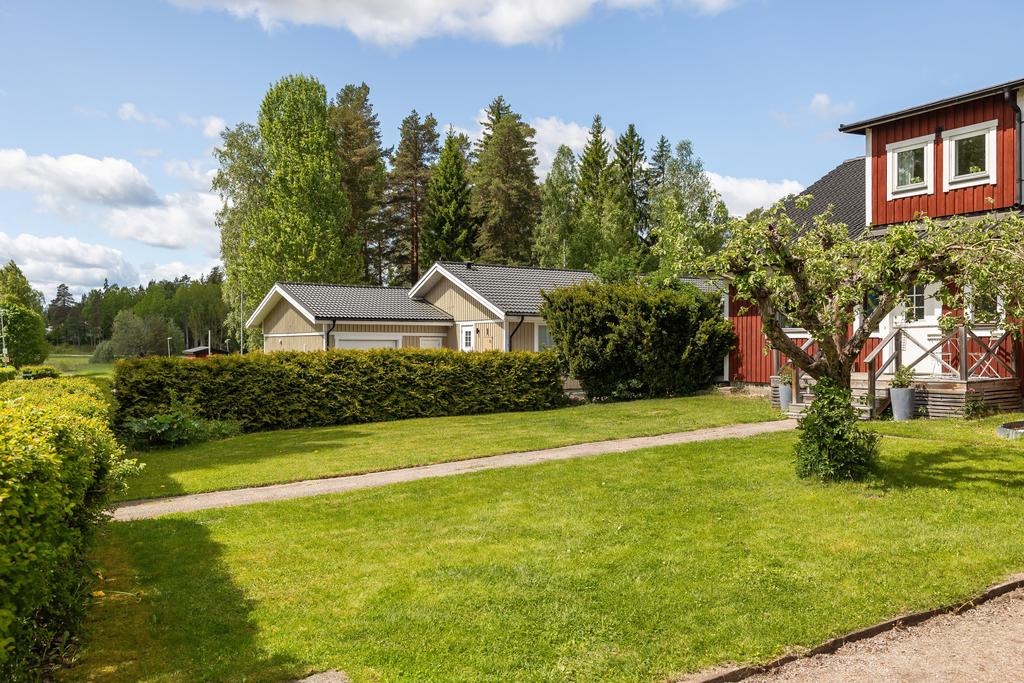 Trädgård på husets framsida