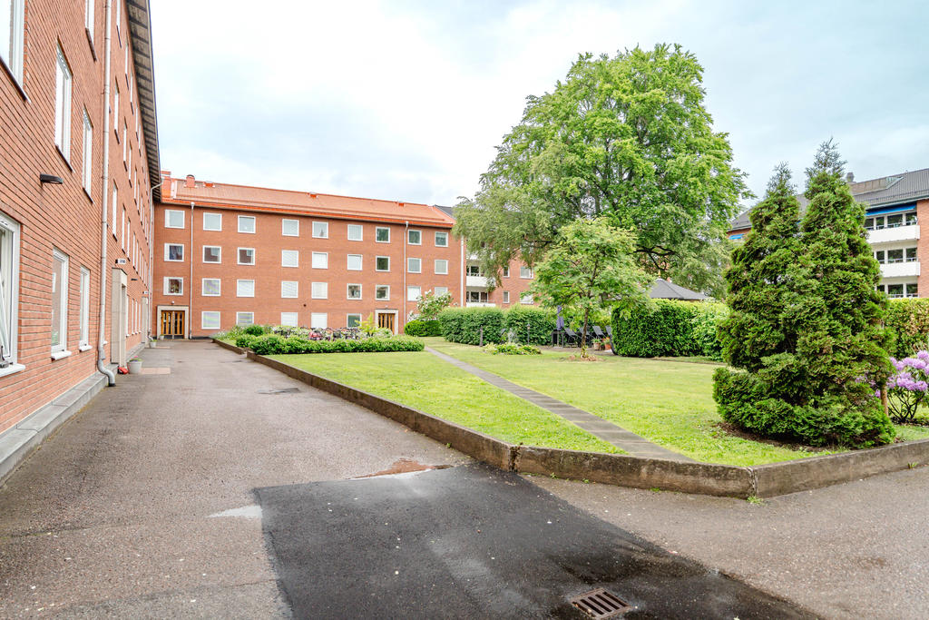 Föreningens innergård