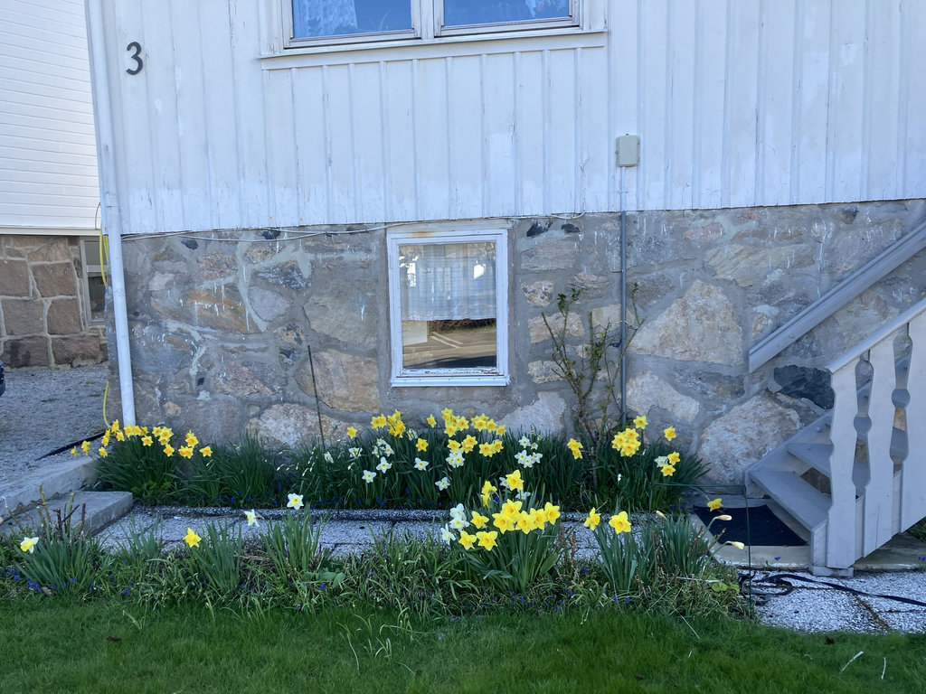 Säljarens bilder