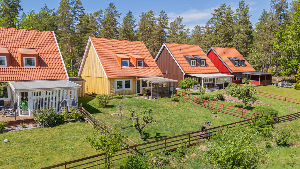 Trädgården på baksidan