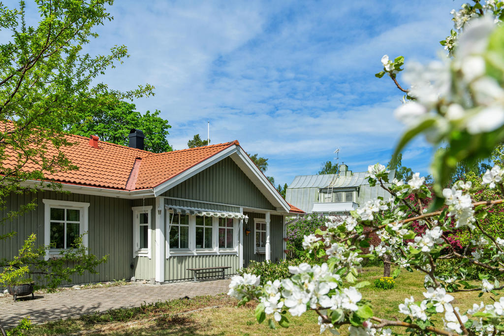 Exteriör