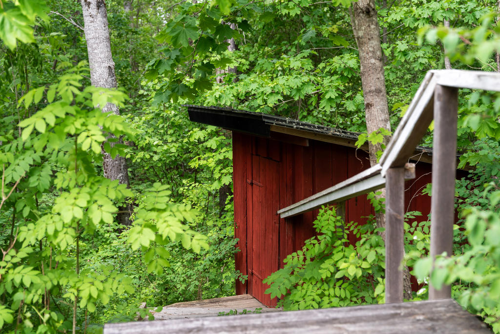 Trappa ner till utedasset som badar i grönska.