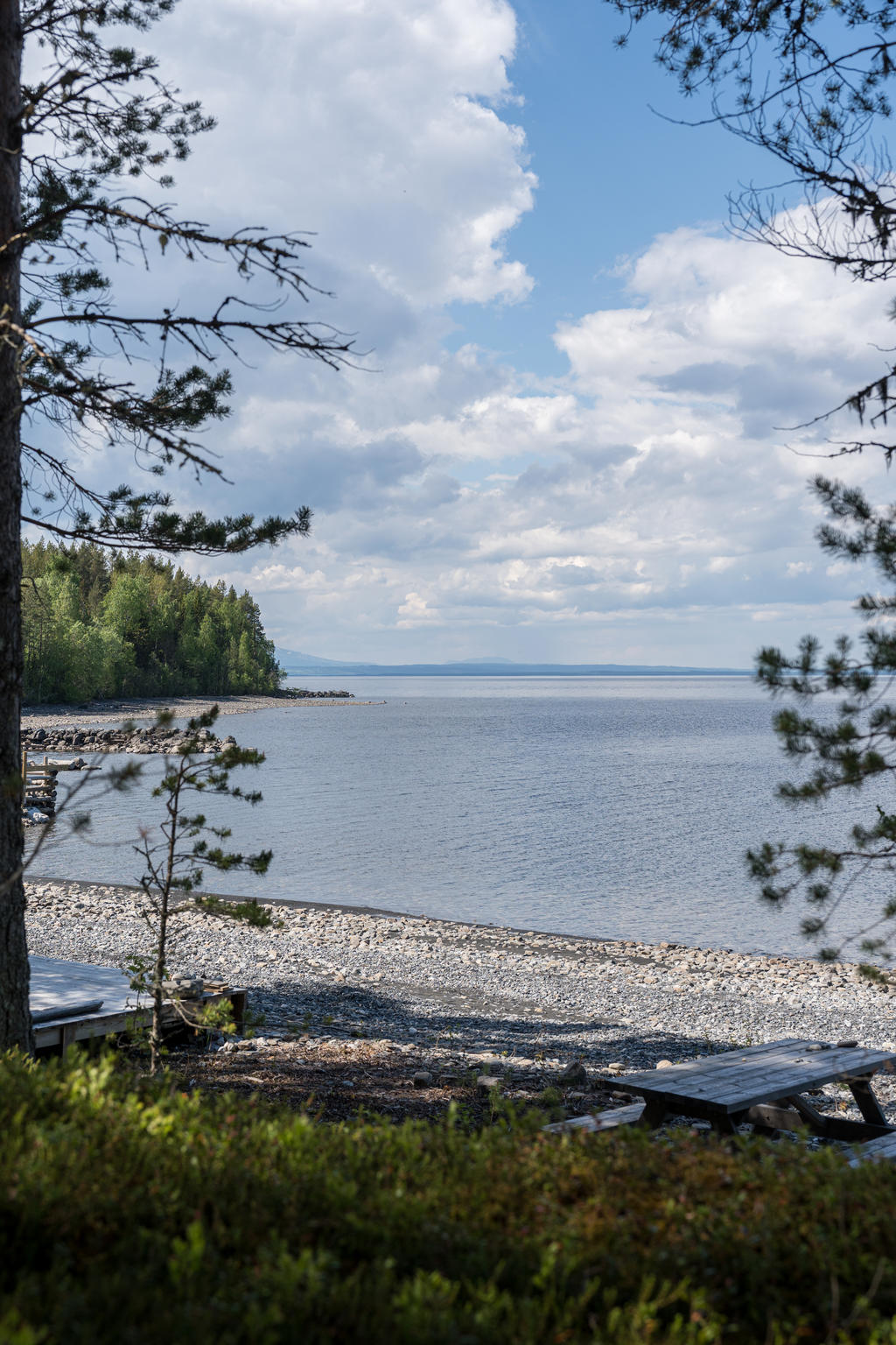 Välkommen ner till sjön! 