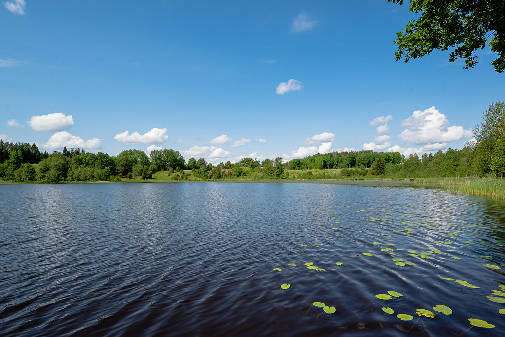 Trynsjön