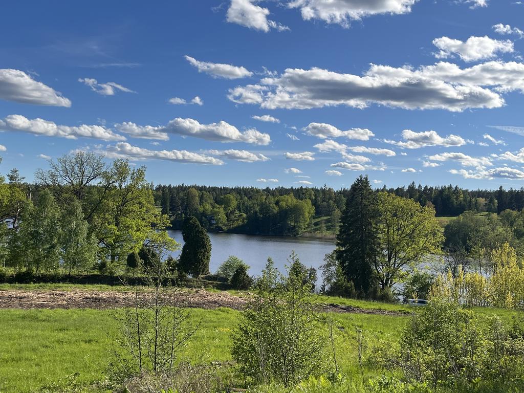 Utsikt från tomten
