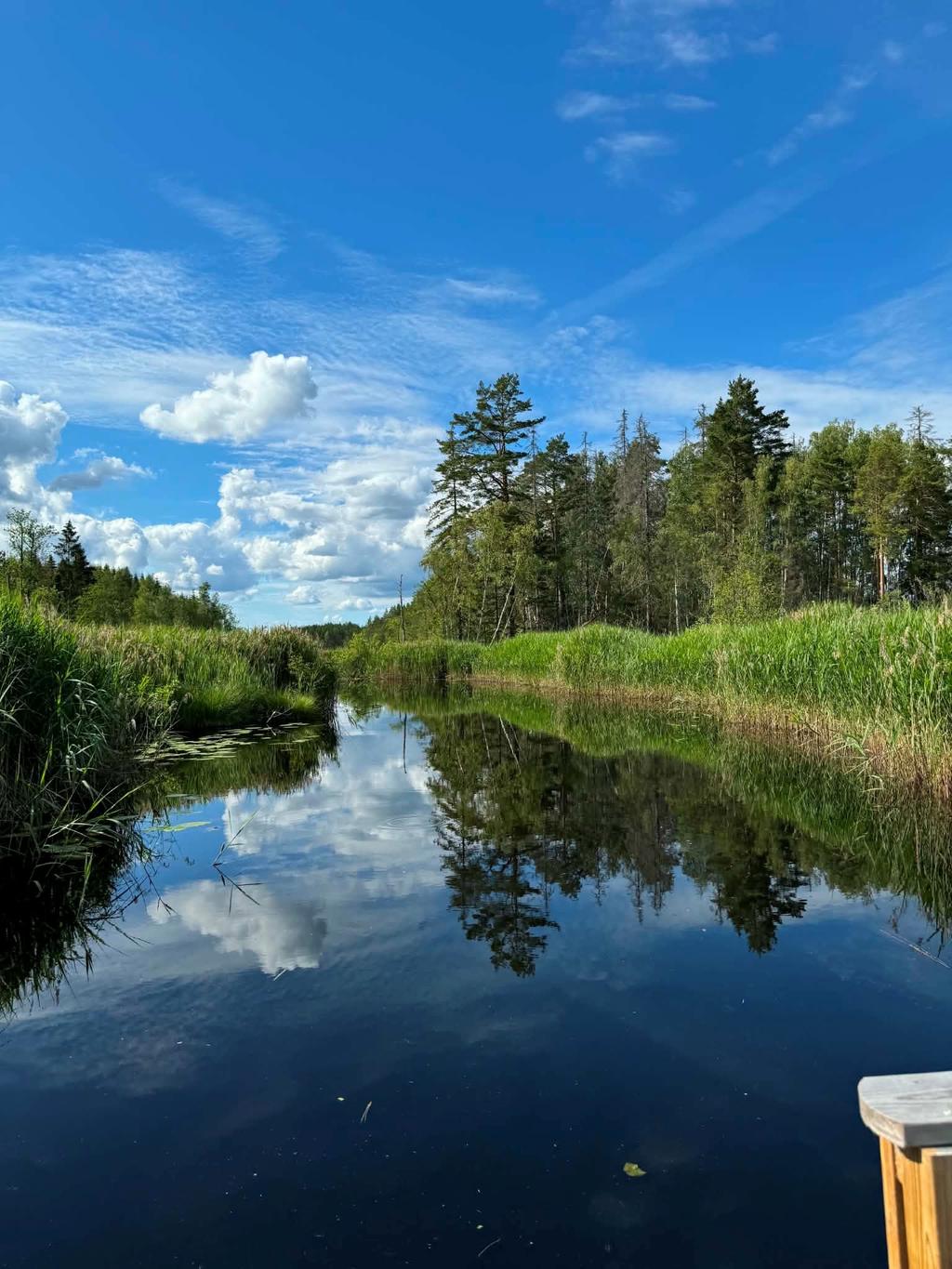 Säljarens bild 