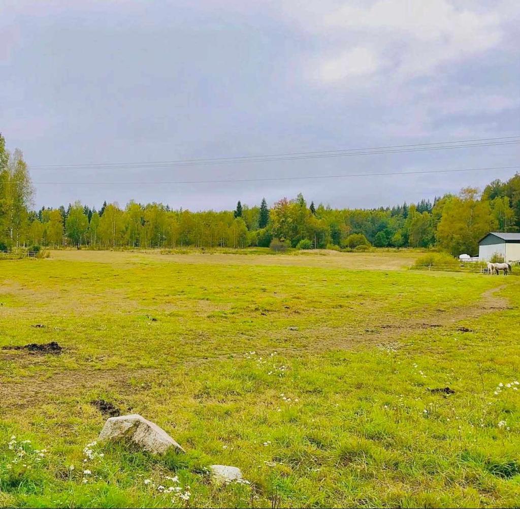Säljarens egna sommarbilder