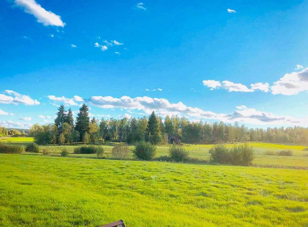 Säljarens egna sommarbilder