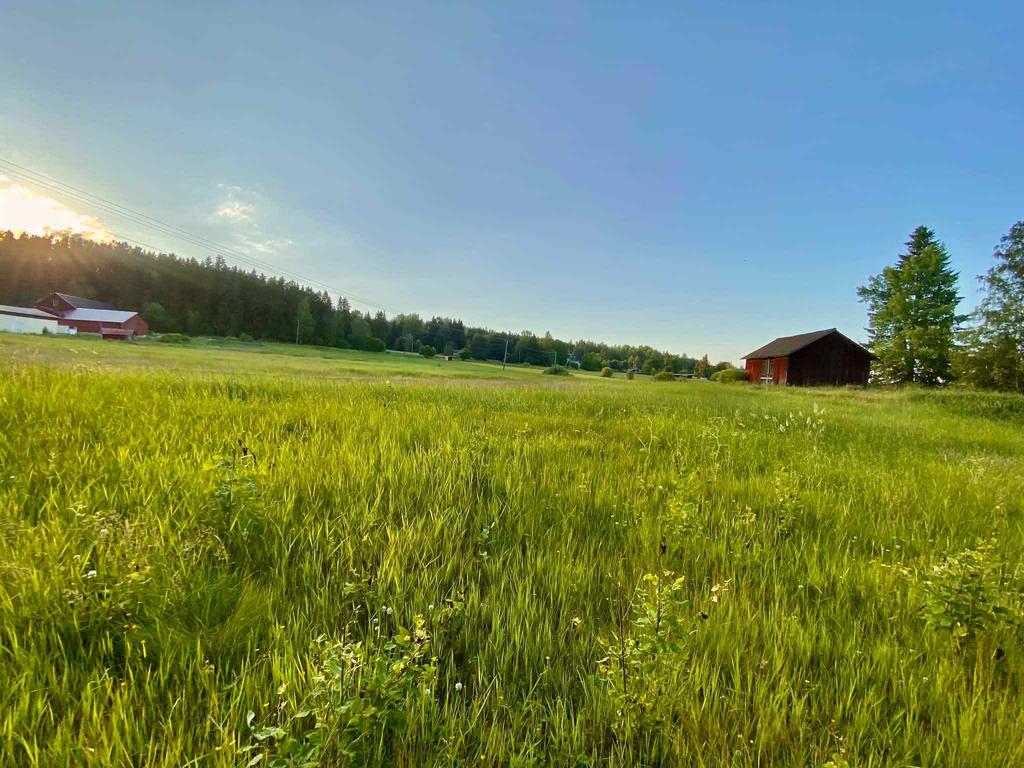 Säljarens egna sommarbilder