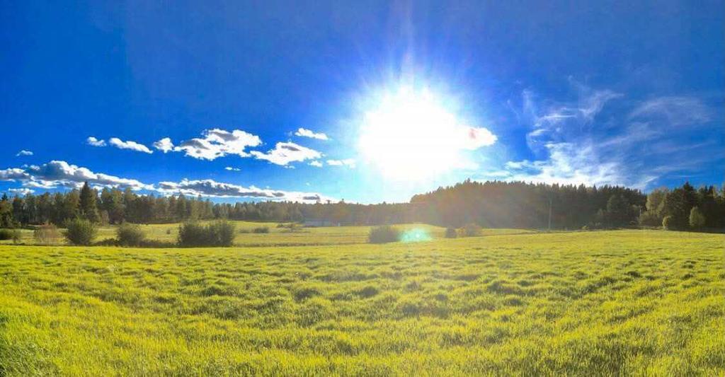 Säljarens egna sommarbilder