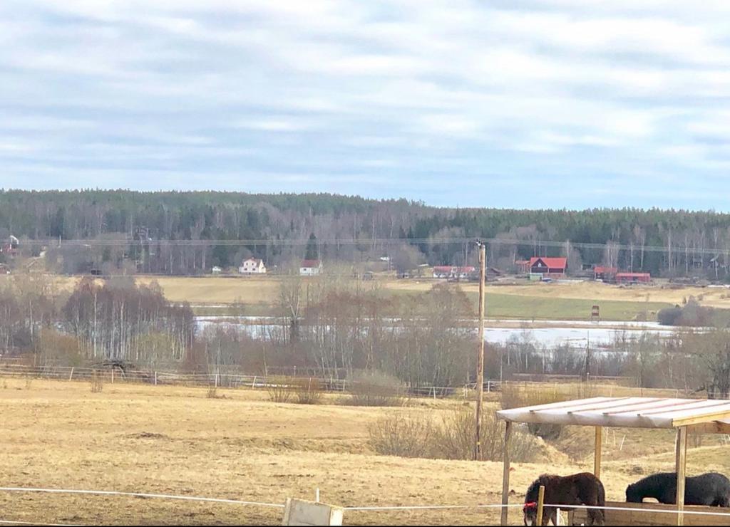 Säljarens vårbild