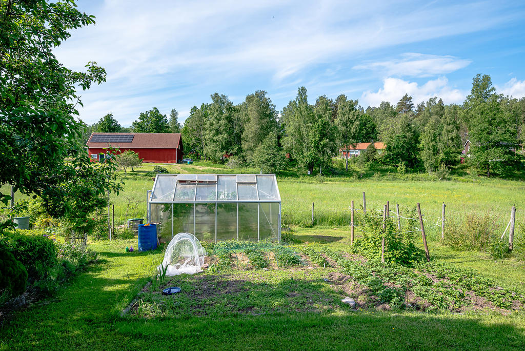 Växthus och ladan i bakgrunden