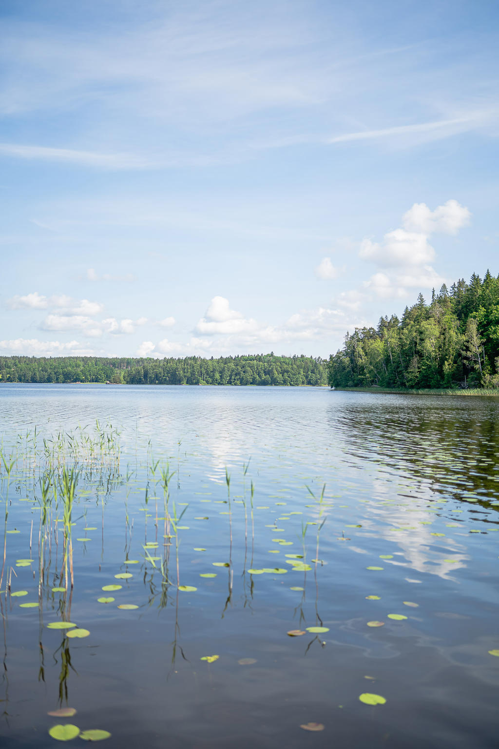 Den egna sjön