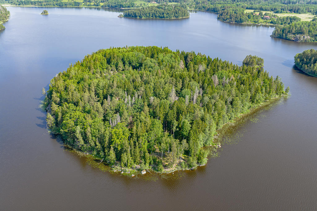 Ullsta ö, en stor del av ön ingår i fastigheten