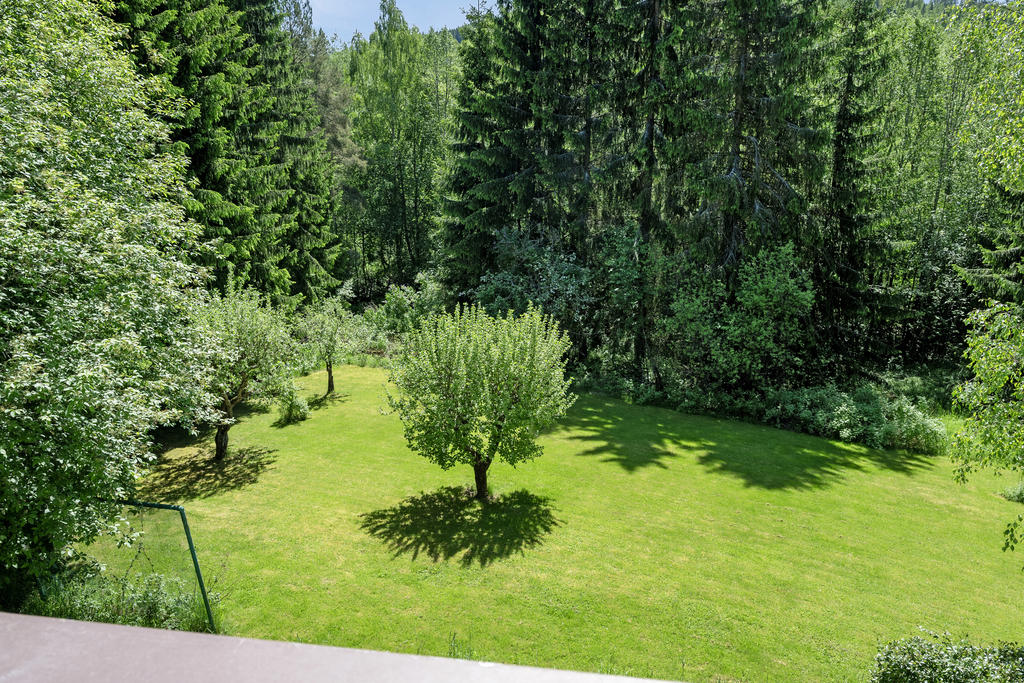 Trädgård