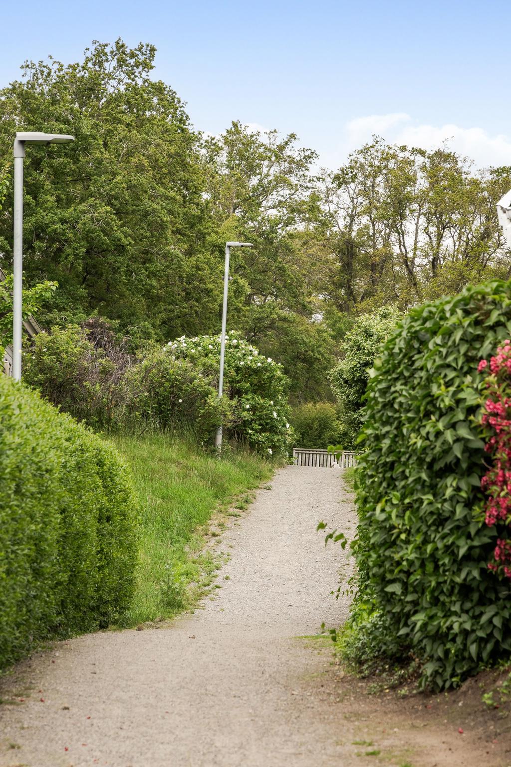 Promenad- och cykelvägar i närområdet.