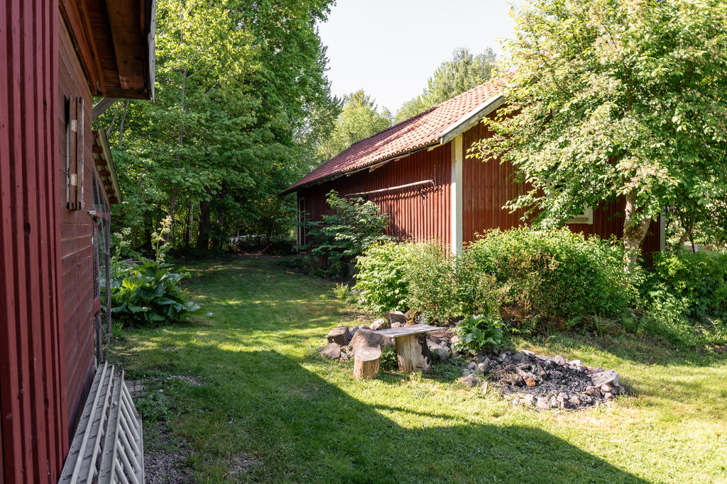 Trädgård