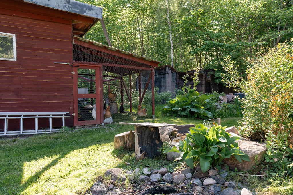 Trädgård