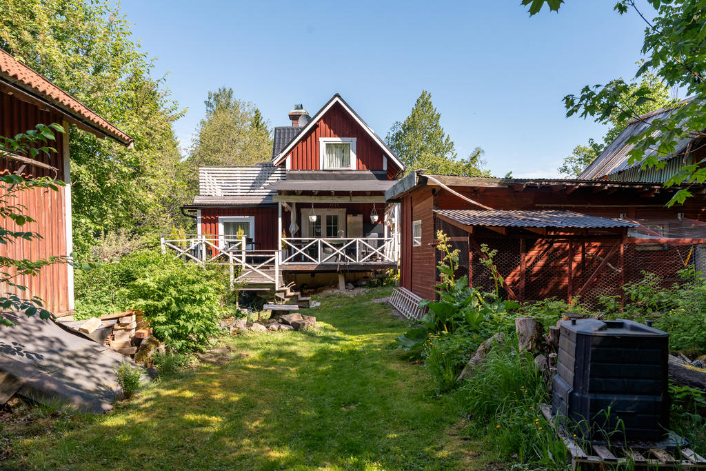 Trädgård baksida huset