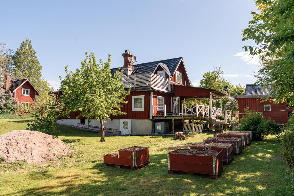 Trädgård baksida huset