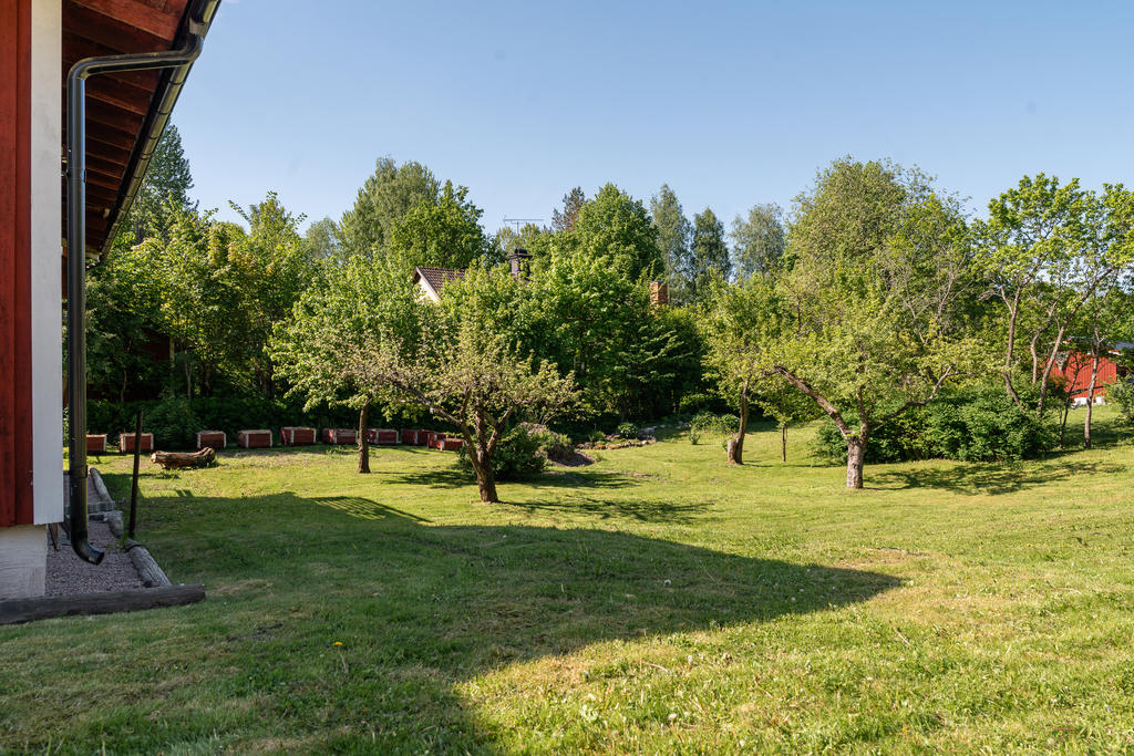Trädgård