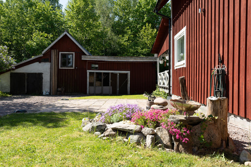 Trädgård