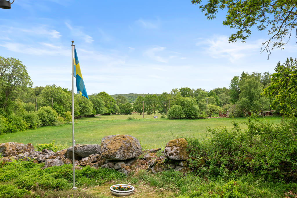 Utsikt från trädäck