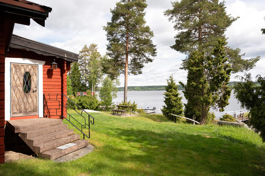 Trädgård