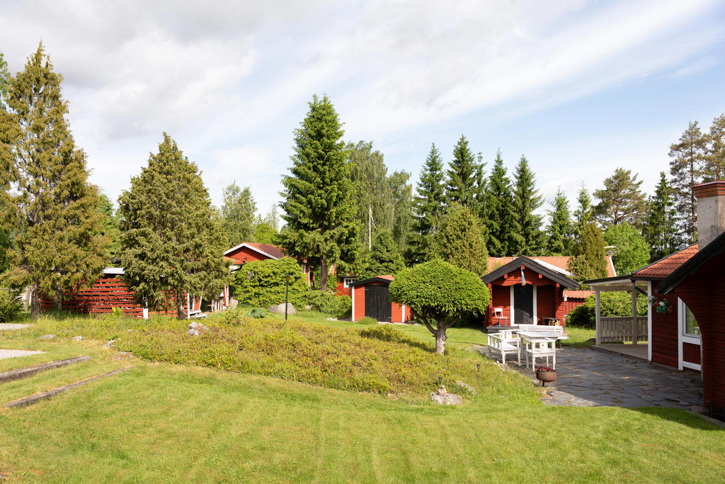 Trädgård mot gäststuga