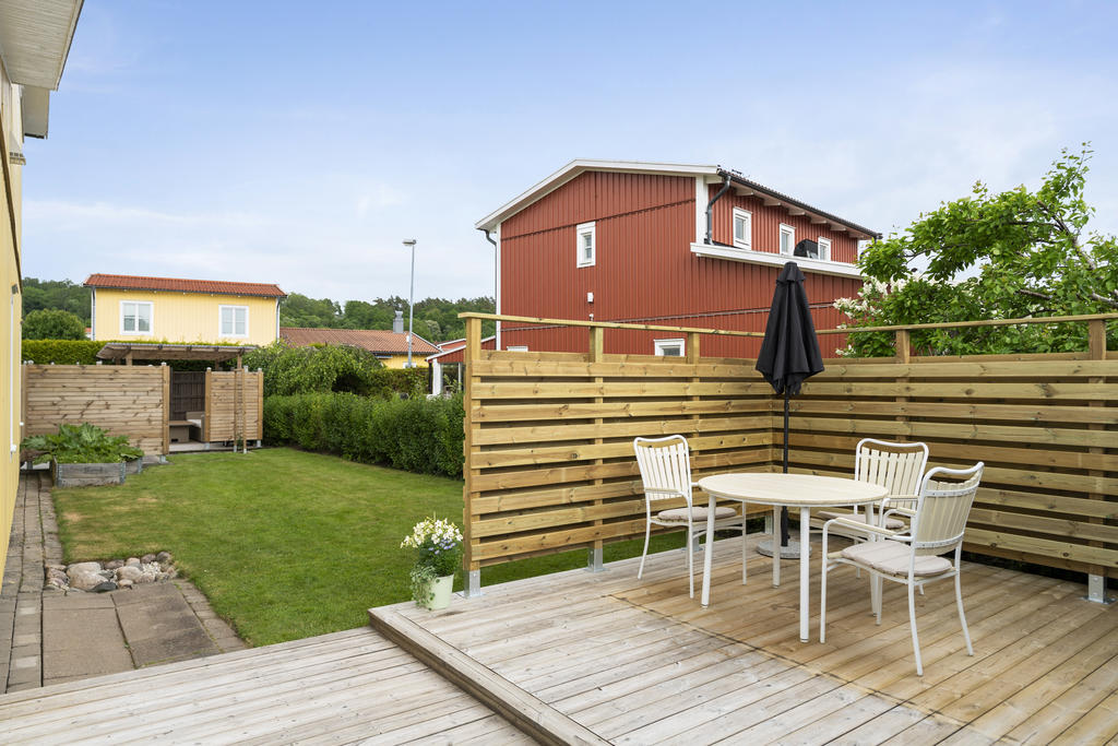 Trädgård med gräsmatta 