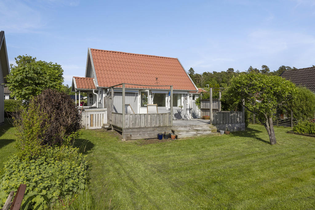 Solig trädgårdssida