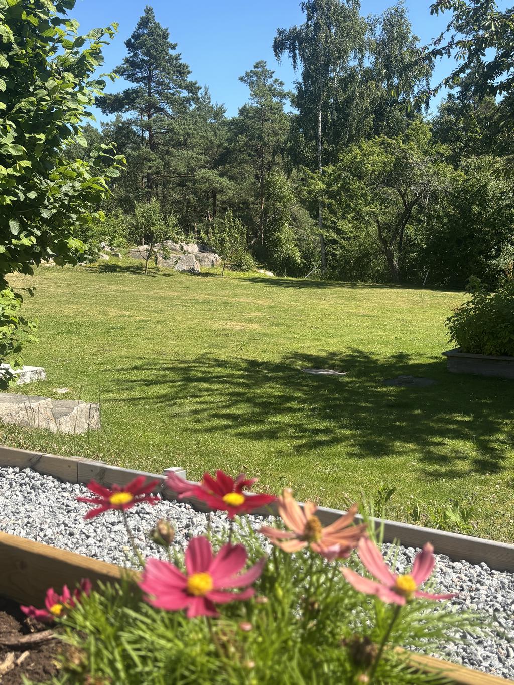 Säljarens egna bilder