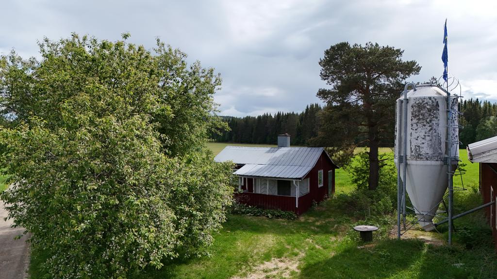 Gäststuga med utsikt över åkermarken 