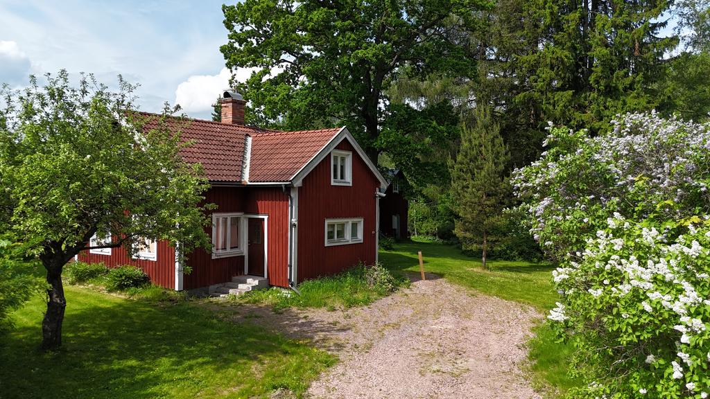 Fasad, framsida
