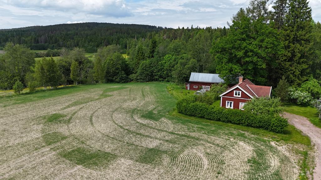 Vy över fastigheten