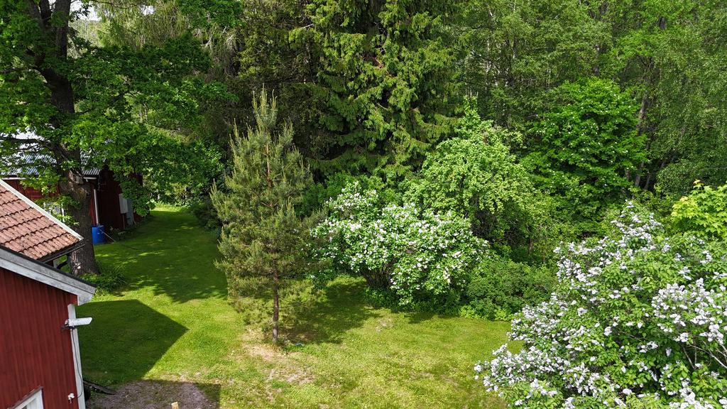 Trädgård