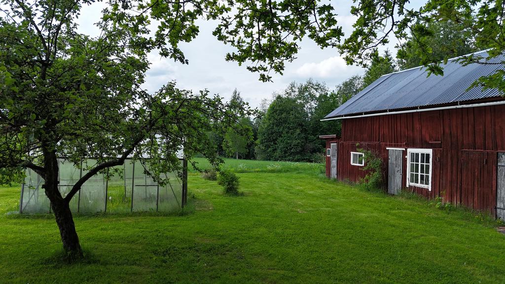 Trädgård