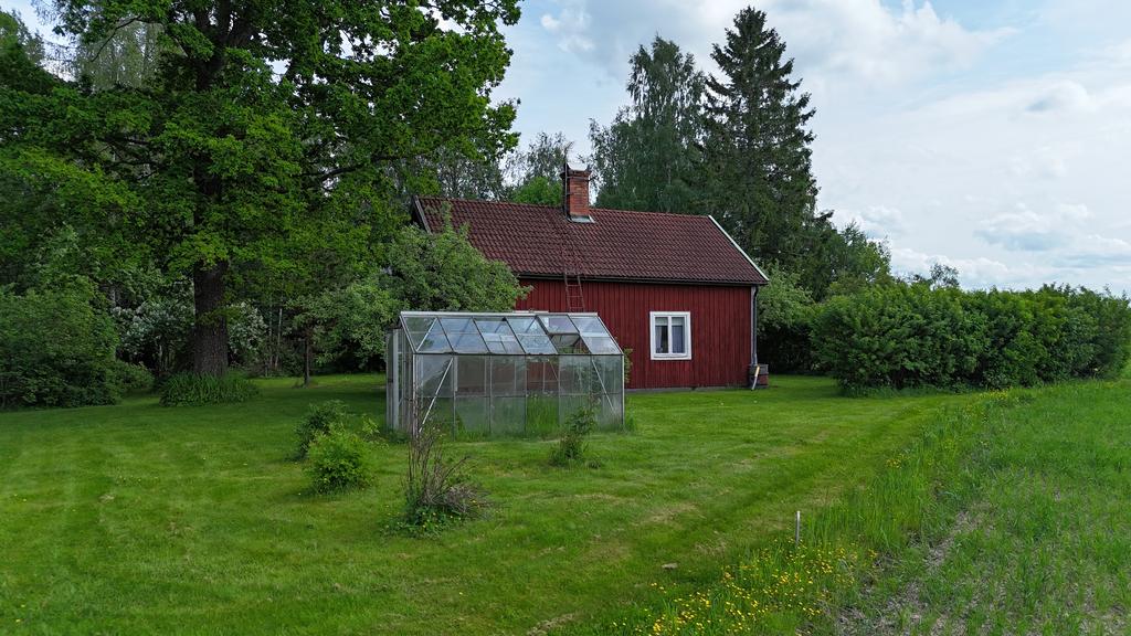 Trädgård