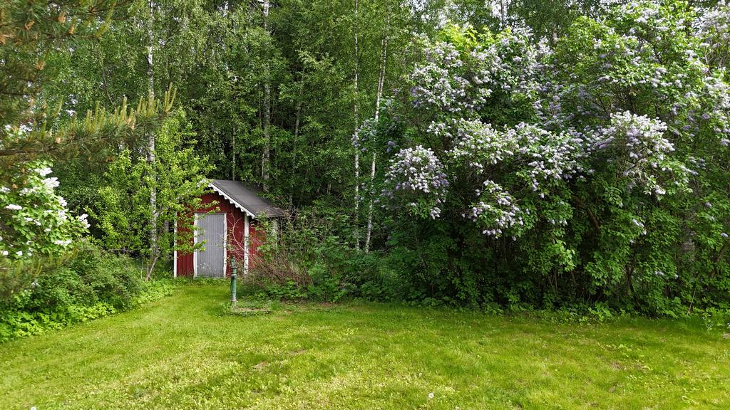 Trädgård