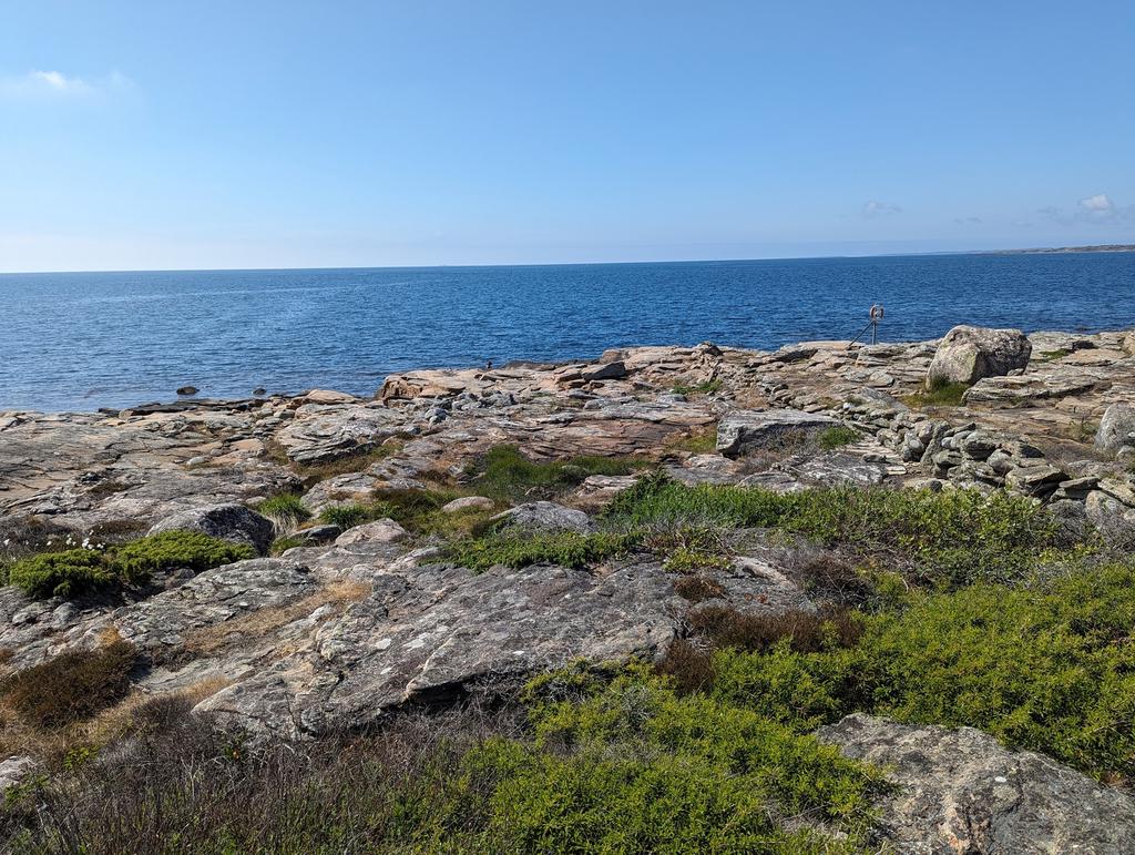 Säjarens bilder