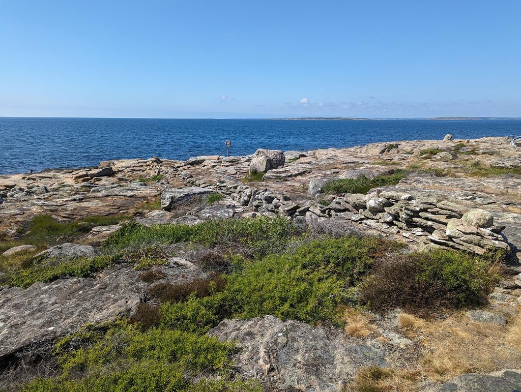 Säljarens bilder 