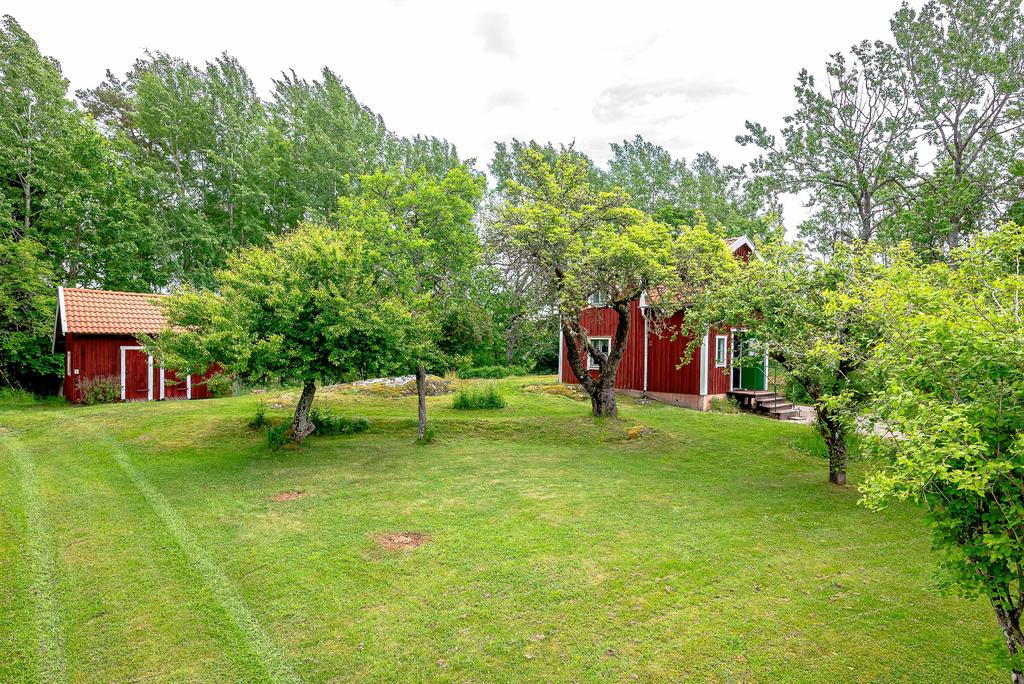Fruktträdgård