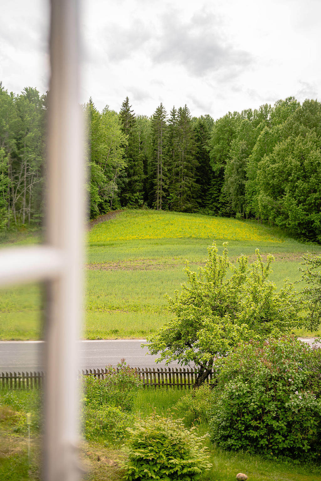 Utblick från allrumsfönstret