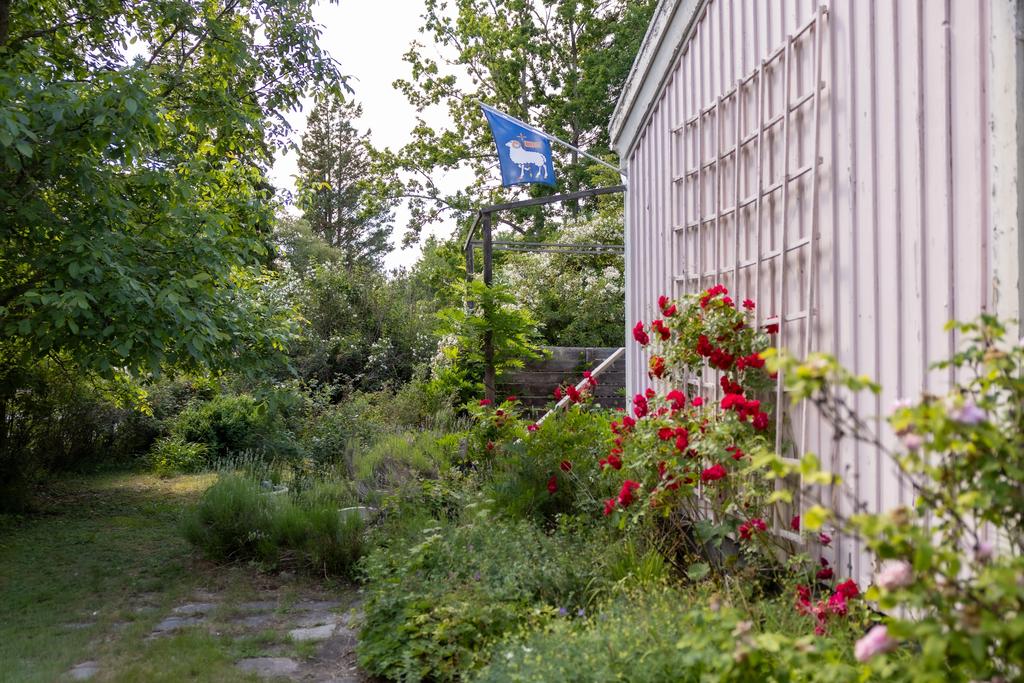 Trädgård